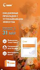 Продукция для интимной гигиены Fohow: прокладки для ежедневного ухода, согревающие прокладки, антибактериальная жидкость и гель, фото 3