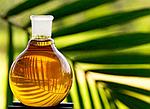 Чем отличается масло RBD Palm Oil от Palm Olein и Palm Stearin?