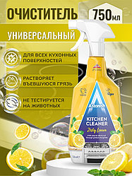 ASTONISH Пикантный лимон 750 мл