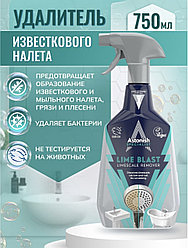 Спрей ASTONISH Универсальный 750