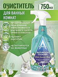 Спрей ASTONISH Для ванной 750
