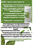 Пилюли Щуэ Джи Кан для лечения и профилактики сердечно-сосудистых заболеваний ("4 баночки Гинкго Билоба") 480 шт., фото 3
