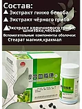Пилюли Щуэ Джи Кан для лечения и профилактики сердечно-сосудистых заболеваний ("4 баночки Гинкго Билоба") 480 шт., фото 4