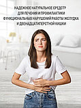 Пилюли Чан Вей Кан для лечения заболеваний ЖКТ (Chang Wei Kang Wan) (4 баночки) 480 шт., фото 6
