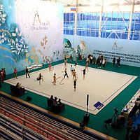 Ковер для художественной гимнастики Gymsport Prof New 14х14 м