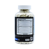 Аминокислотный комплекс GSSLab Amino plus 800 капсул, фото 3