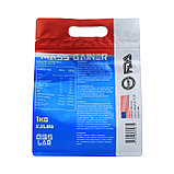 Гейнер высокоуглеводный Gss Lab Mega mass 10 порций 1000 гр, фото 2