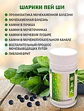Пилюли для лечения почек "Шарики Пей Ши" (Paishi Wan)(4 баночки) 480 шт., фото 4