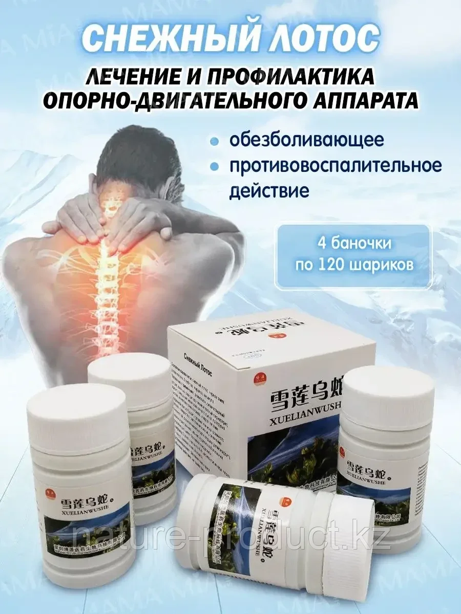Пилюли Снежный лотос Xuelian Wushe для опорно-двигательного аппарата 480 шт.