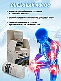 Пилюли Снежный лотос Xuelian Wushe для опорно-двигательного аппарата 480 шт., фото 3