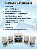 Пилюли Снежный лотос Xuelian Wushe для опорно-двигательного аппарата 480 шт., фото 8