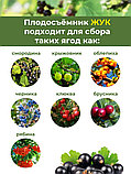 Плодосъёмник Жук Профи с заслонкой для ягод, фото 9