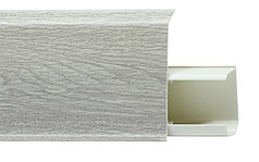 709 Дуб Джерси