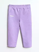 Брюки 11219AW23 Vulpes
