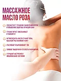 Масло массажное Rosehip OIL Mini Teacher 500ml, фото 4