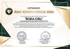 🏆 МЫ — КОМПАНИЯ ГОДА 2024!