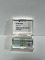 Набор микропрепаратов по анатомии