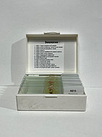 Набор микропрепаратов по зоологии