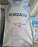 712041 Forza10 Mr. Fruit Adult Indoor, Форца 10 Мр. Фрут корм для домашних кошек, уп. 12кг., фото 3