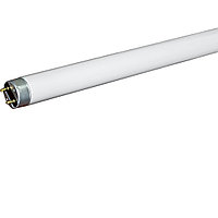 ЛБ 36 Вт, Люминесцентная лампа T8, 120 см
