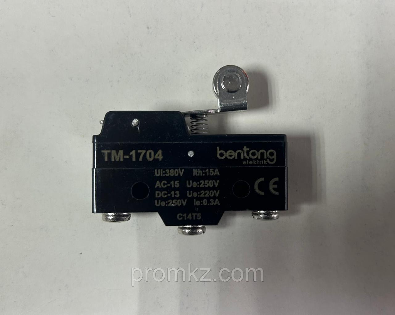 TM-1704 — концевой роликовый микропереключатель.