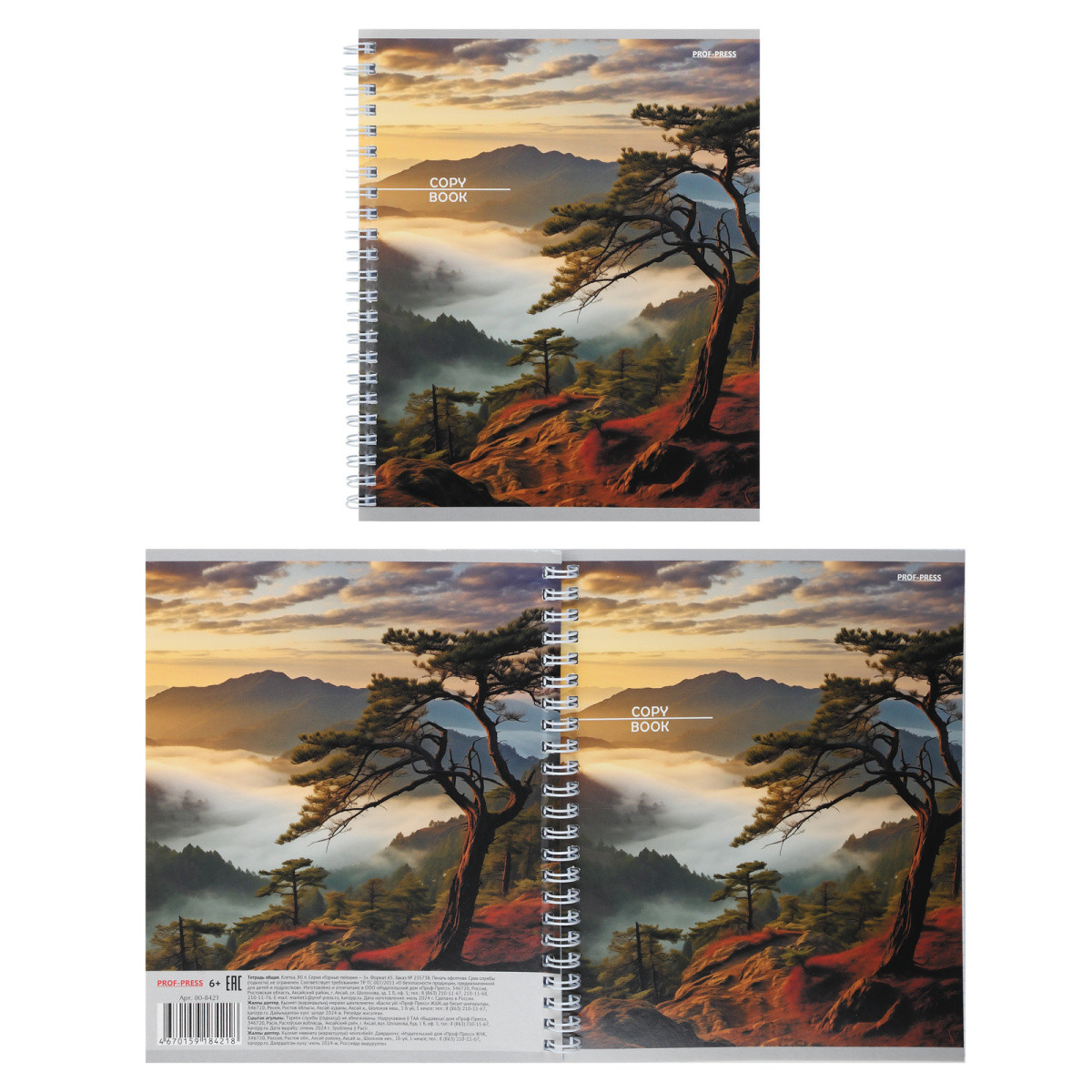 Тетрадь 80 л, клетка, А5. Серия "Горные пейзажи"
