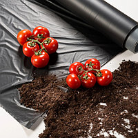 Клубничная пленка с перфорацией ХозАгро 60 МКМ (1,3Х500М)