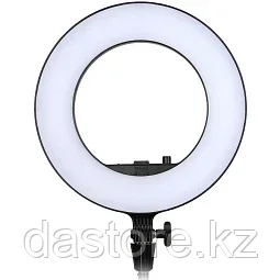 Godox LR180 Black Осветитель кольцевой