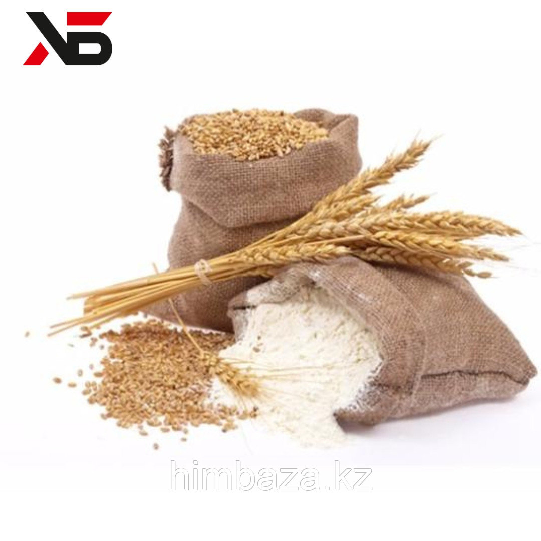 ГЛЮТЕН, ПШЕНИЧНАЯ КЛЕЙКОВИНА
