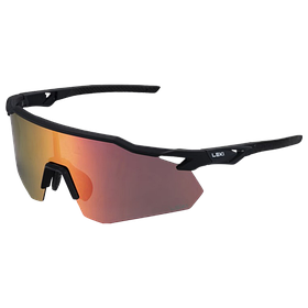 Очки LEKI Falcon Pro