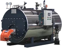 Парогенератор 1,6 МПа, от 200 кг/ч до 2000кг/ч.