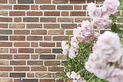 Кирпич облицовочный полнотелый Nelissen T16 N70/6,5, 240х70х65 мм