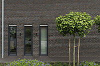 Кирпич облицовочный полнотелый Nelissen Cassis N70/5, 240х70х50 мм