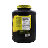 Протеин сывороточный Mammoth Interactive Protein whey 63 порции 2270 гр, фото 2