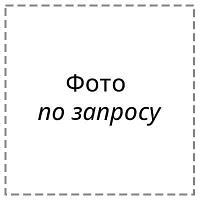 Амортизатор задний газомасляный STINSS S2S1459