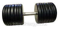Гантели неразборные (60 кг)