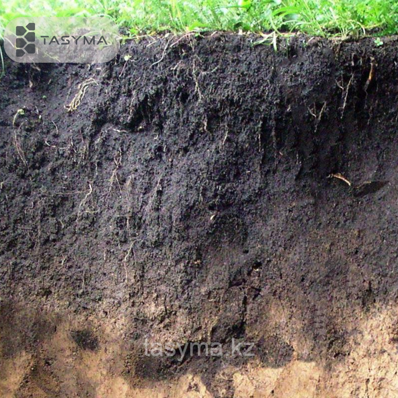 Чернозем (верхный слой) с доставкой, фото 1