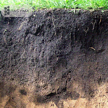 Чернозем (верхный слой) с доставкой