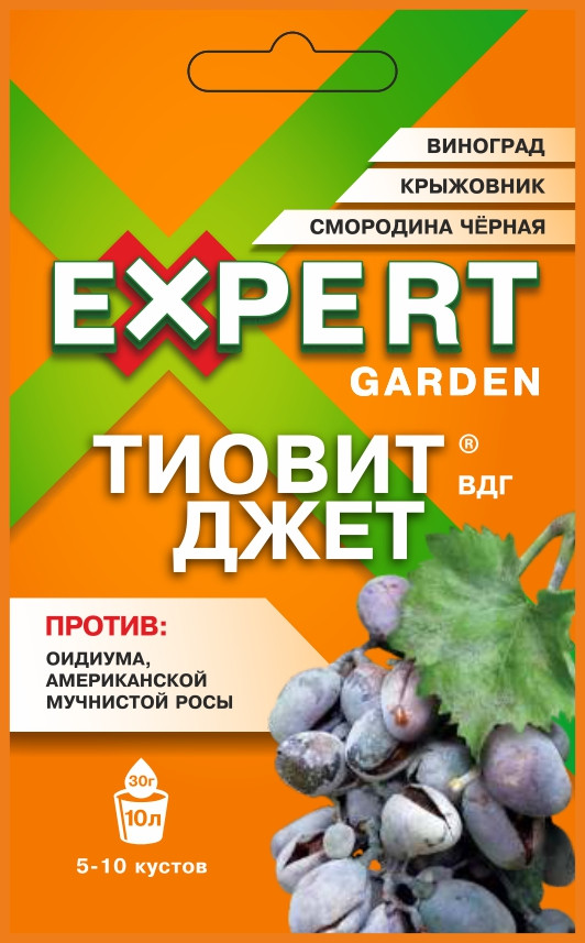 Фунгицид Тиовит Джет ВДГ 30гр Expert Garden, фото 1