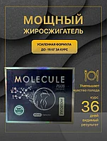 Molecule Plus Premium ( Молекула Плюс Премиум ) капсулы для похудения Оригинал