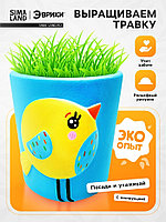 Набор для опытов, для детей «Выращиваем травку», растение в горшочке «Птичка»