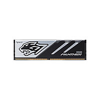 Модуль памяти Apacer Panther AH5U32G52C5227BAA-1 DDR5 32GB