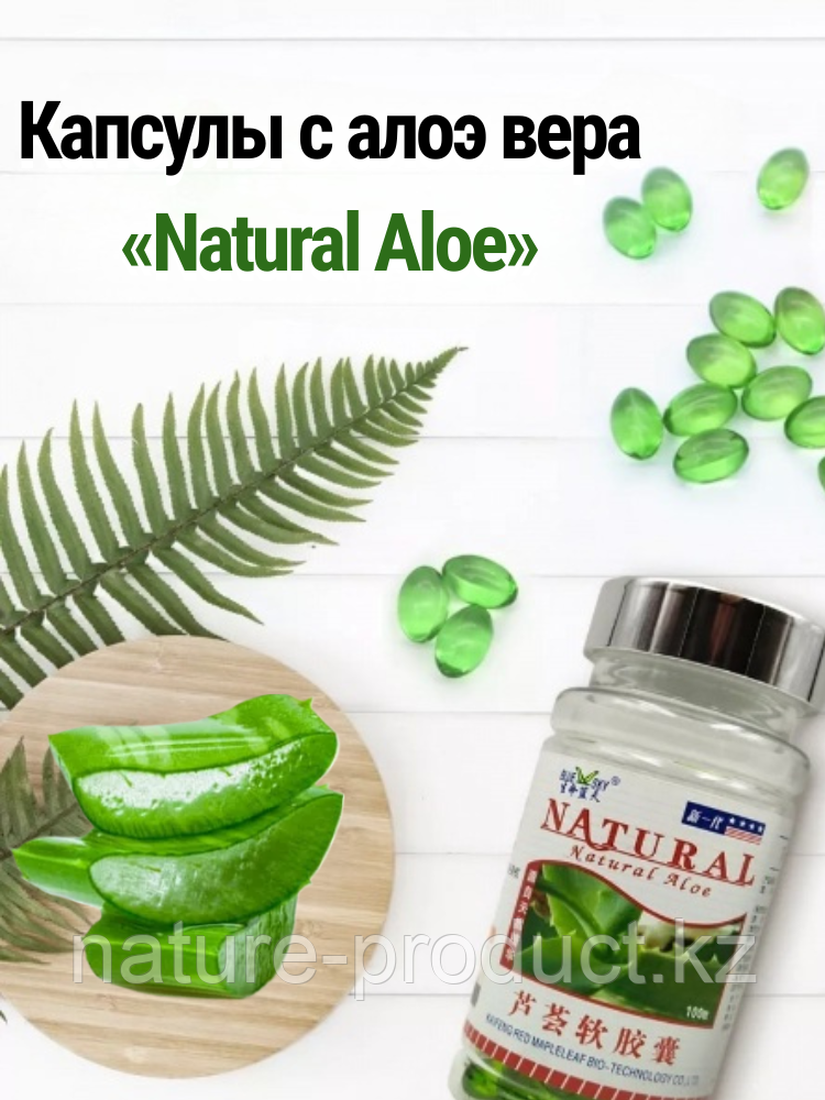 Мягкая капсула Алоэ Вера для ЖКТ100 капсул, фото 1