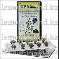 Пилюли из черноголовки Ся Ку Цао Сань Цзе Вань