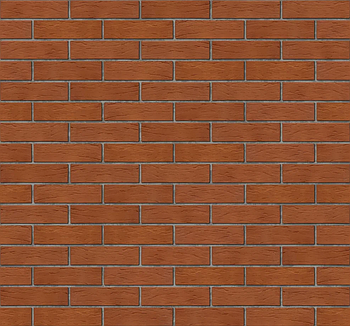 Одинарный кирпич 1НФ 250х120х65, красный рустик