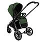 PITUSO Коляска 2 в1 Mayla Lux, forest green, фото 7