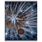 Тетрадь 48л., А5, клетка BG "Детали природы", эконом, фото 5