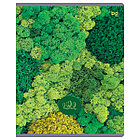 Тетрадь 48л., А5, клетка BG "Детали природы", эконом, фото 6