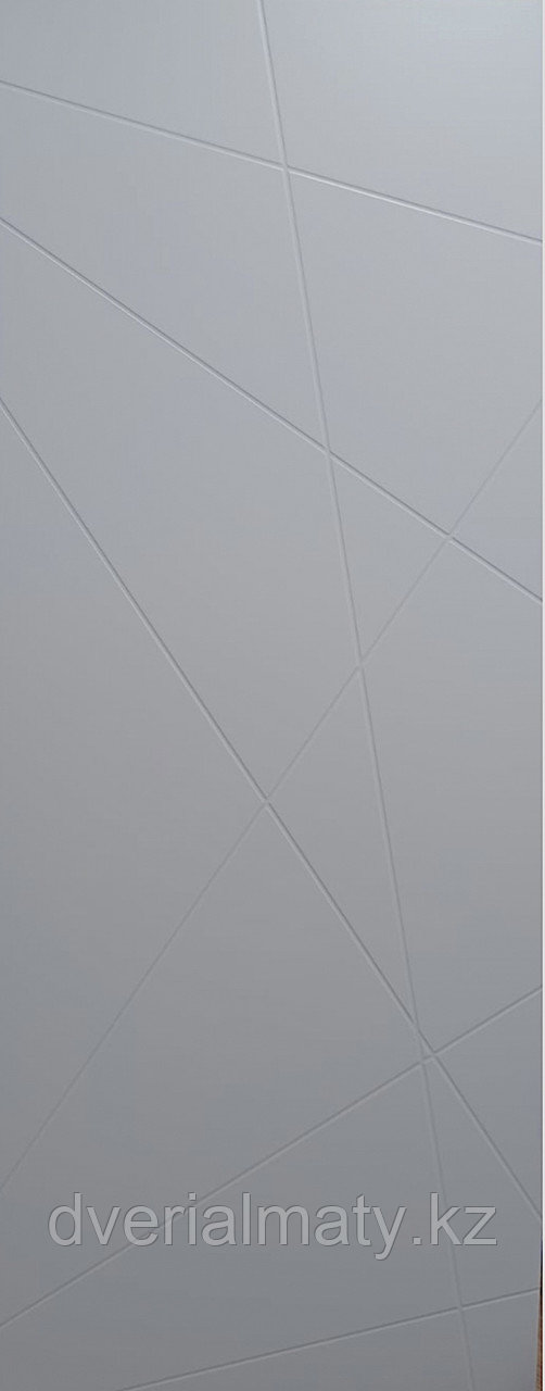 Дверь Паутинка 2.0 RD серая, фото 1