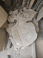 Слэбы карагача